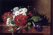 unknow artist Floral, beautiful classical still life of flowers.036 France oil painting reproduction